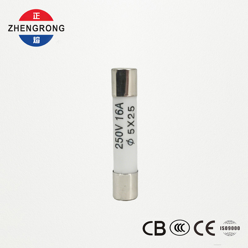 Sekering 5x25mm R055 16A Berkualitas Tinggi untuk Pembeli Grosir