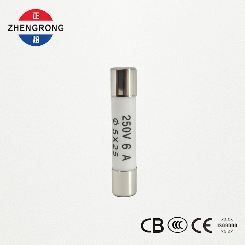 Sekering 5x25mm R055 6A Berkualitas Tinggi untuk Pembeli Grosir